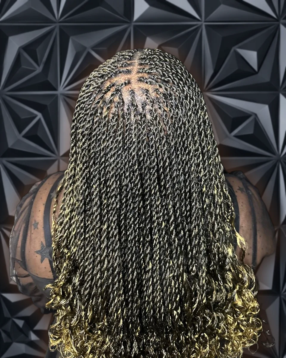 Island / Alliance / Passion / Senegalese Twist by Vani's Braids